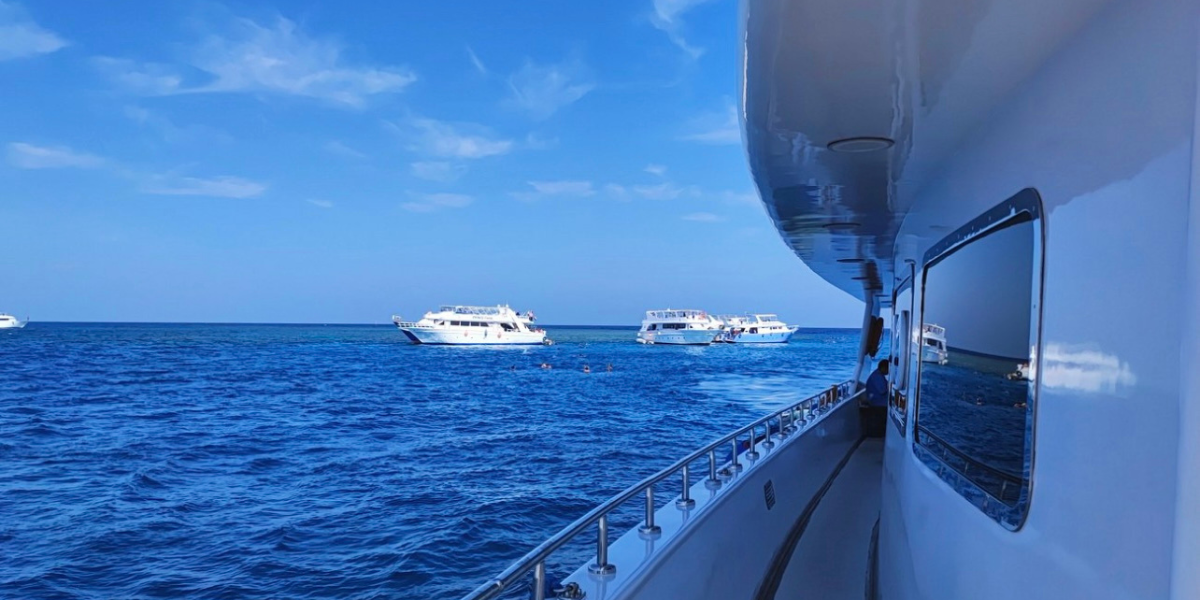 Diving trip activity