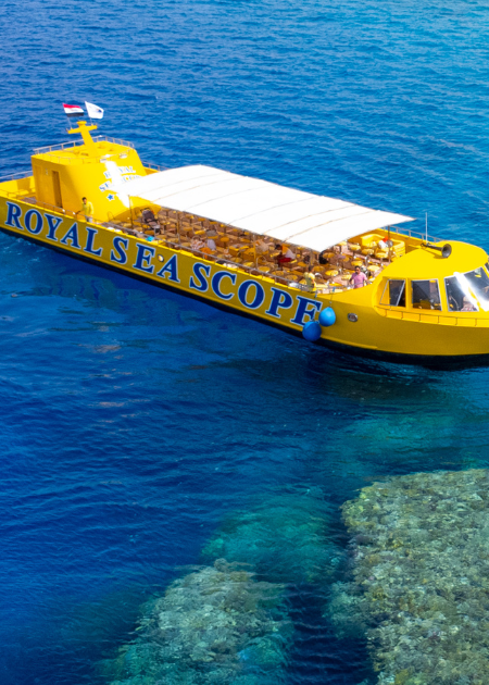 Sea Scope thumbnail