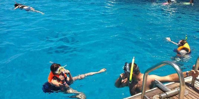 Tiran Island - Sharm El Sheikh activity