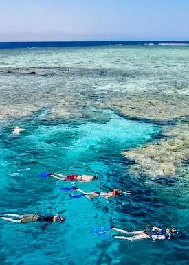 Tiran Island - Sharm El Sheikh thumbnail