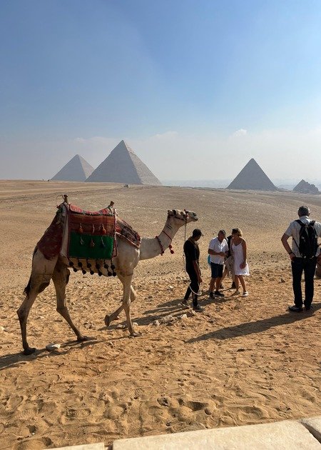Camel Ride in Giza Pyramids thumbnail